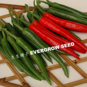 5019 GREEN FINGER