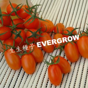 4150 GOLDEN SWEET NO.2