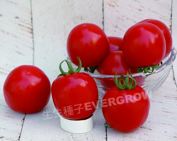 4250 RED CROWN