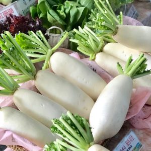RADISH F1