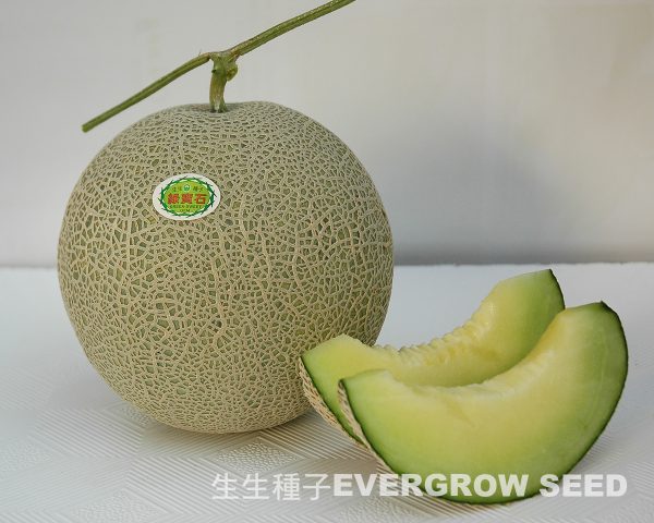 1367 GREEN SWEET GEM