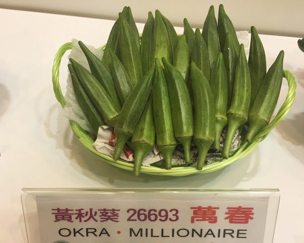 26693 MILLIONAIRE - Image 3