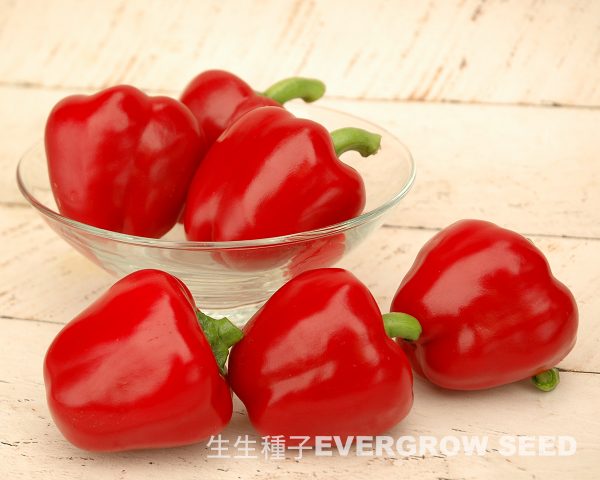 3151 MINI APPLE (Specific Type)