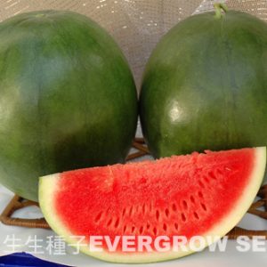 2346 GREEN BABY SEEDLESS