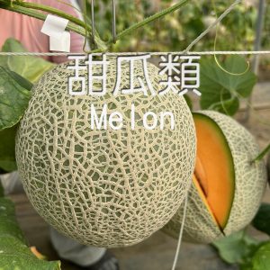05. MELON F1