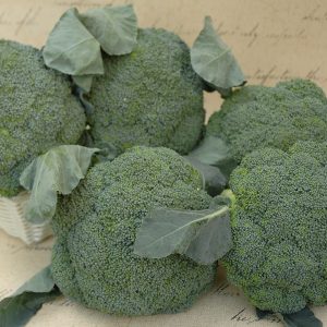 BROCCOLI F1