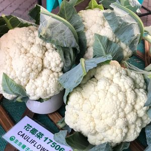 CAULIFLOWER F1