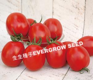 4244 APY (Rio Grande Tomato) 4244 APY (Rio Grande Tomato)