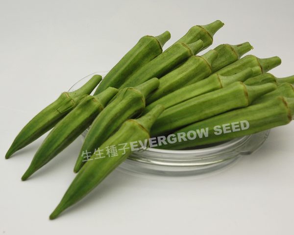 26692 SPRING PEARL